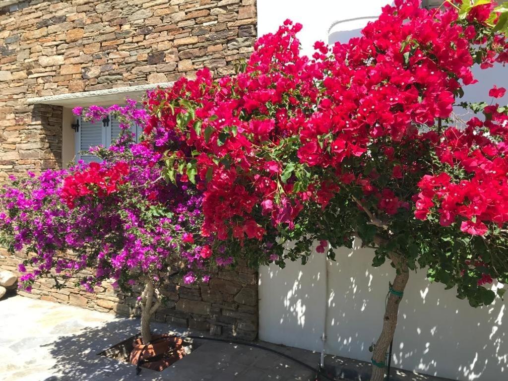 Oikia Petra Villa Agios Ioannis  Ngoại thất bức ảnh